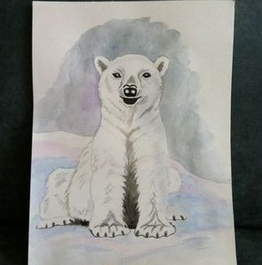 Meet your Posher, Teddy